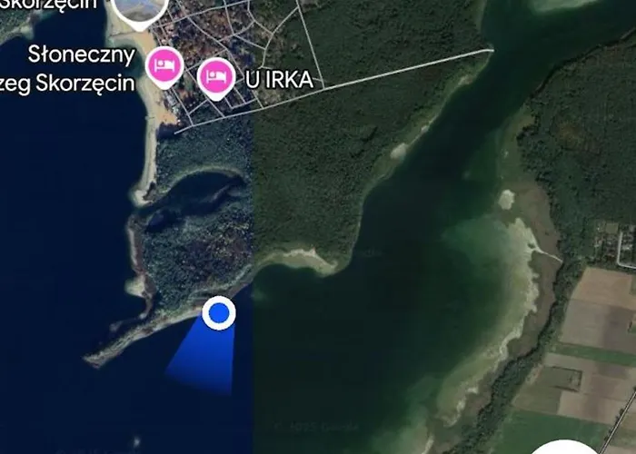 Pod Swierkami 3 * Skorzecin