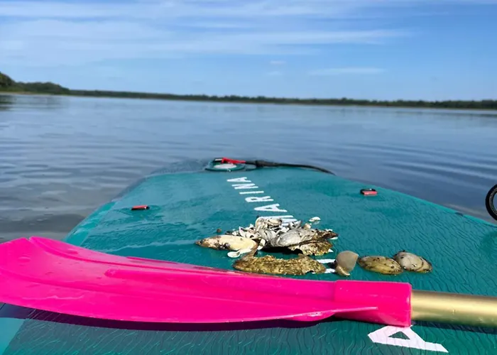 Pod Swierkami 3 * Skorzecin